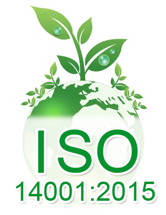 Iso 14001 2015 Action First